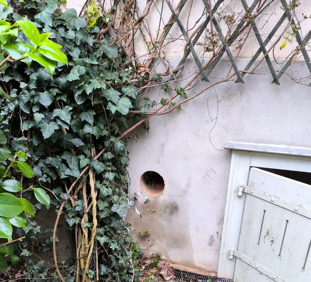 curage batiment angers